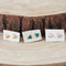 Color Splash Dainty Studs