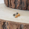Color Splash Dainty Studs
