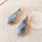 Long Labradorite Diamonds Earrings
