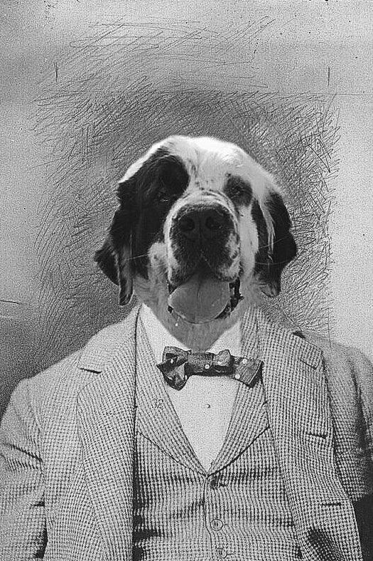 "Dressed to Head West" Pet Portrait