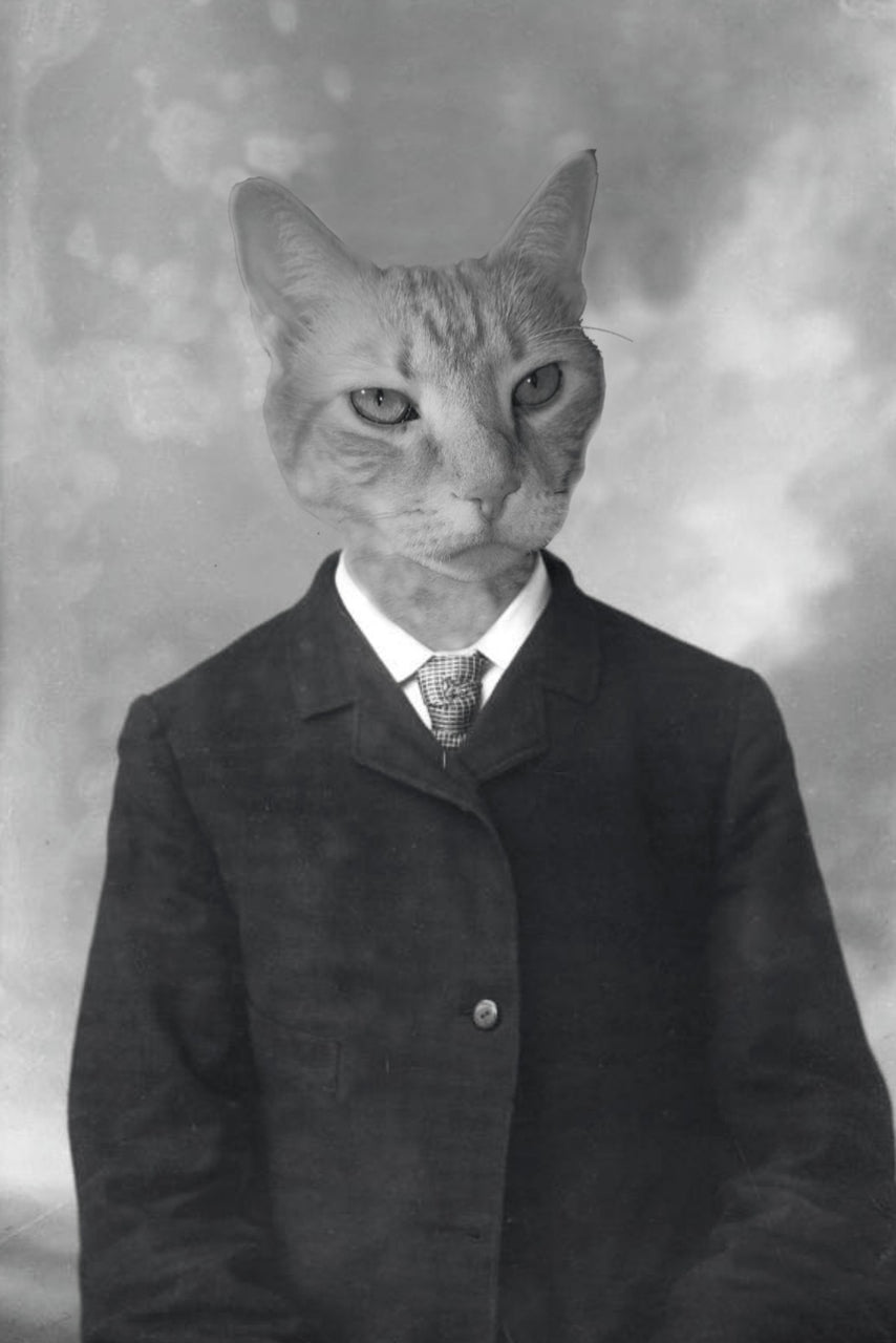 "A Simple Suit" Pet Portrait