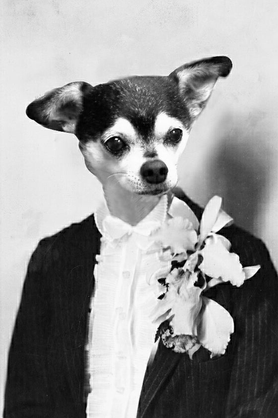 "Blazer With Flowers" Pet Portrait