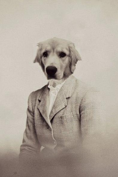 "A Dream in Cream" Pet Portrait