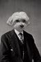 "Office Job" Pet Portrait