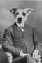 "The Professor" Pet Portrait