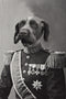 "The General" Pet Portrait