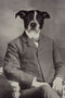 "The Professor" Pet Portrait