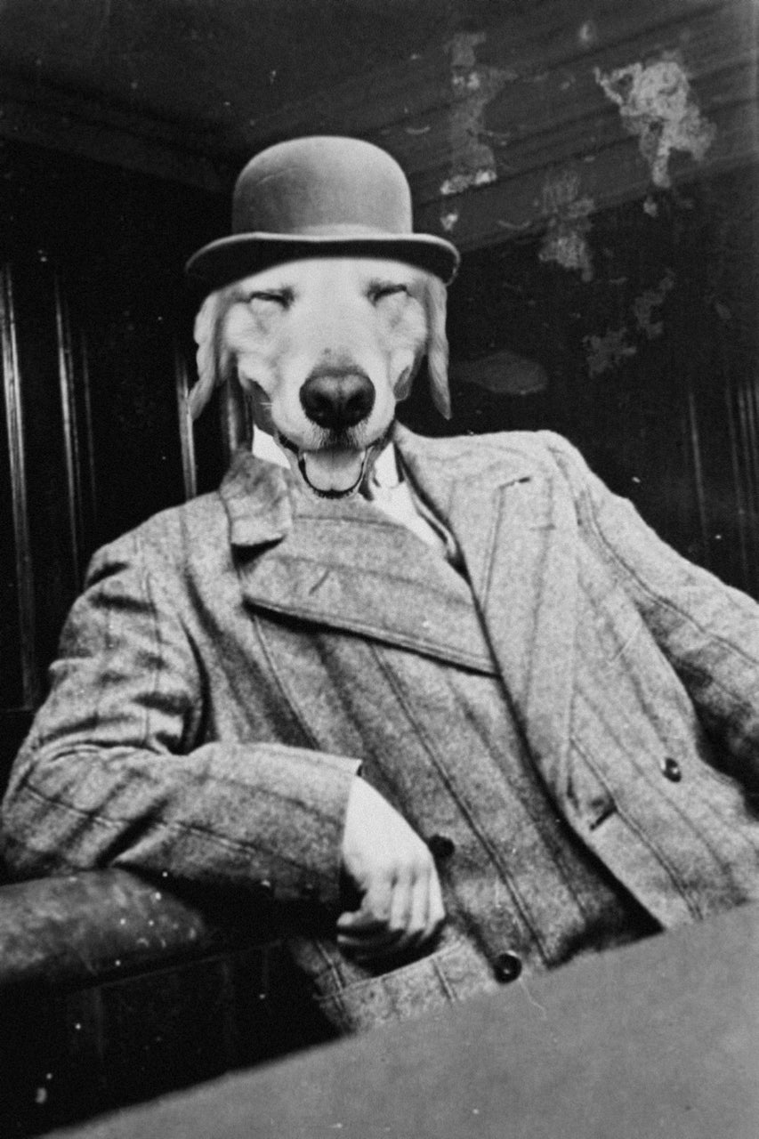 "A Jolly Good Fellow" Pet Portrait
