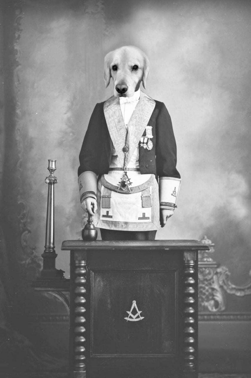 "At The Podium" Pet Portrait