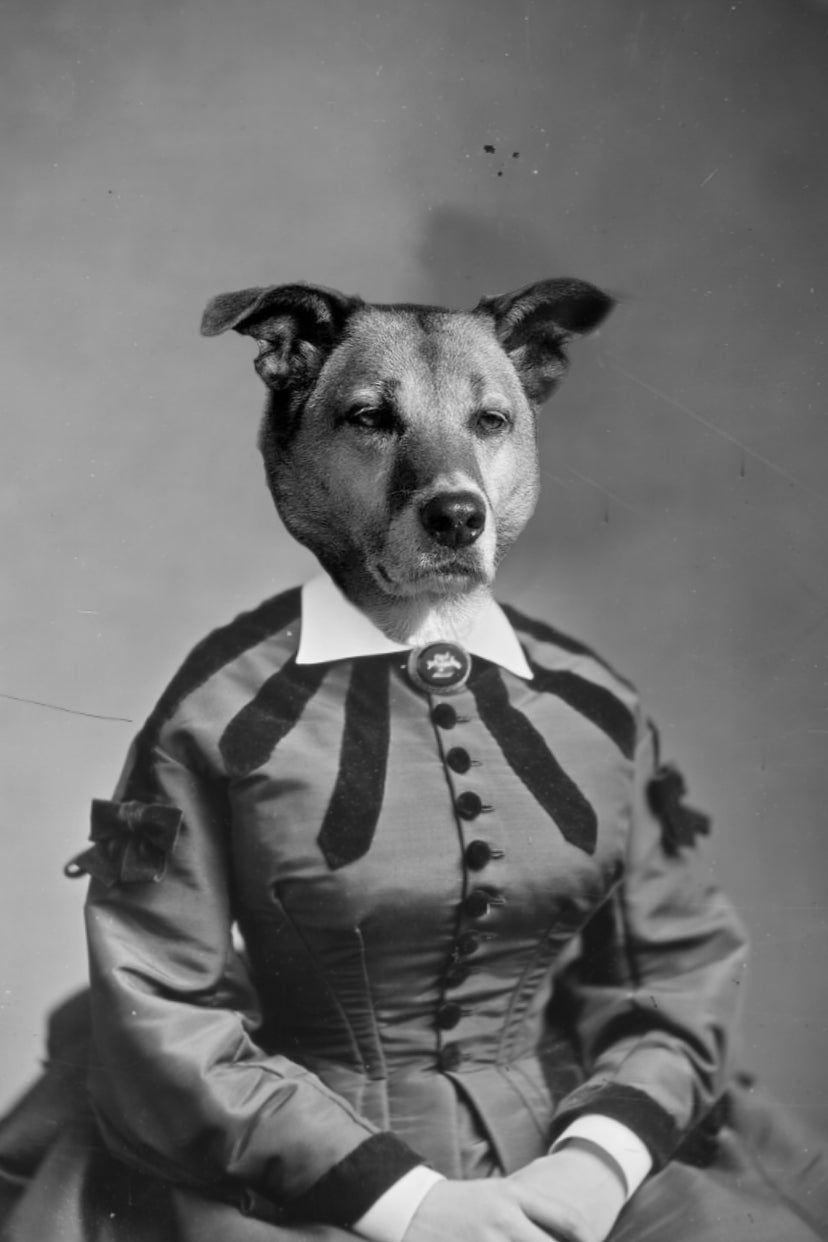 "A Classic Lady" Pet Portrait