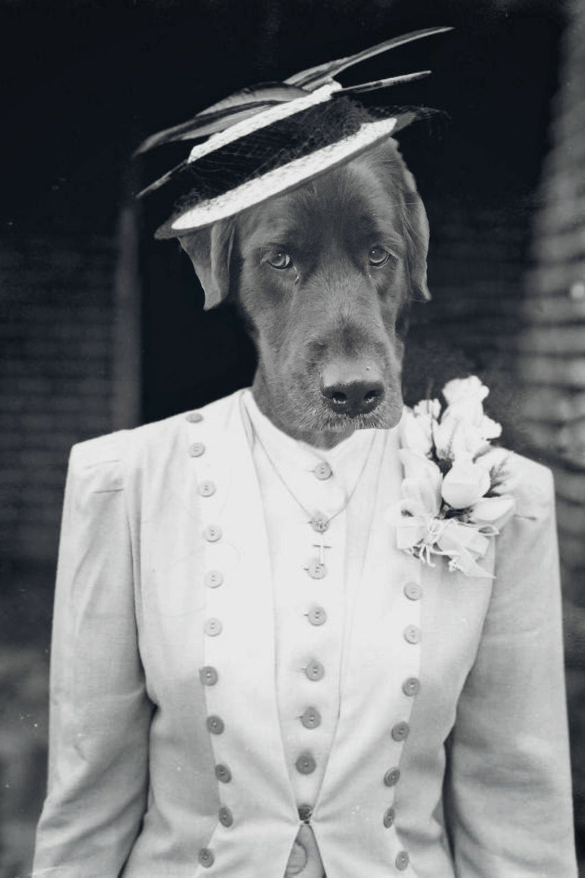 "Out On The Town" Pet Portrait