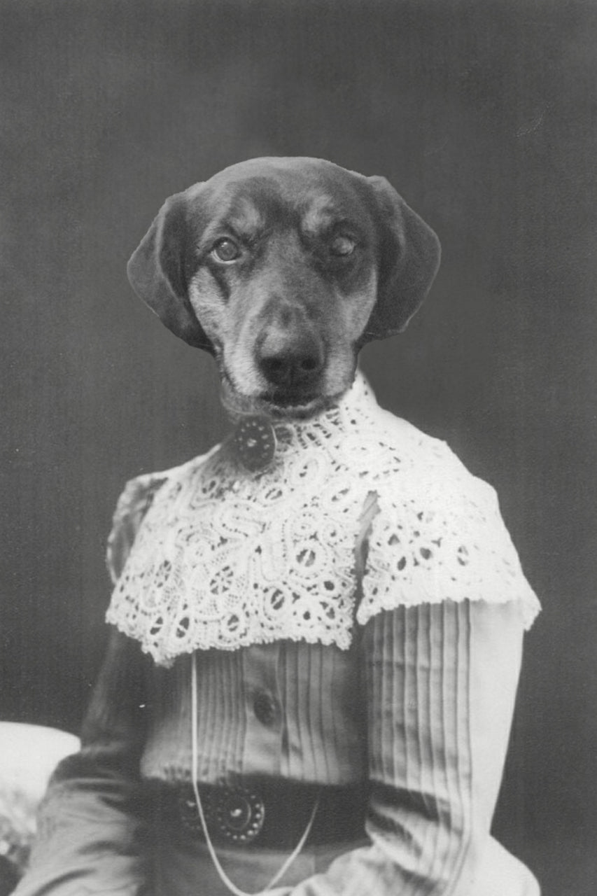 "A Brooch Approach" Pet Portrait