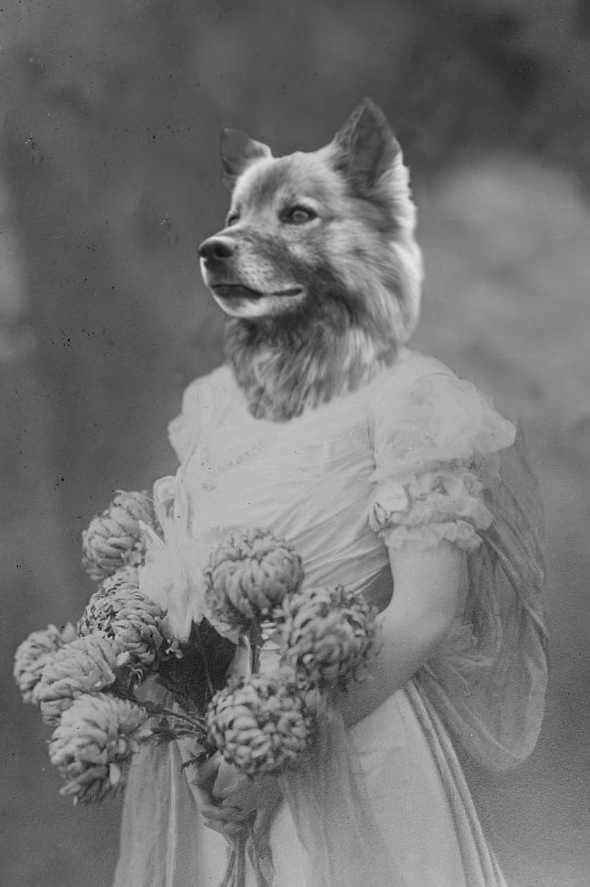 "Her Big Day" Pet Portrait