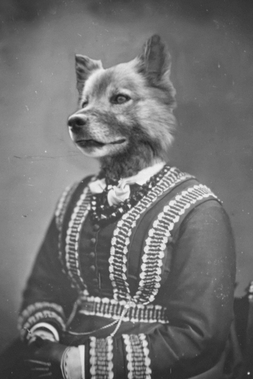 "Don't Forget The Pearls" Pet Portrait