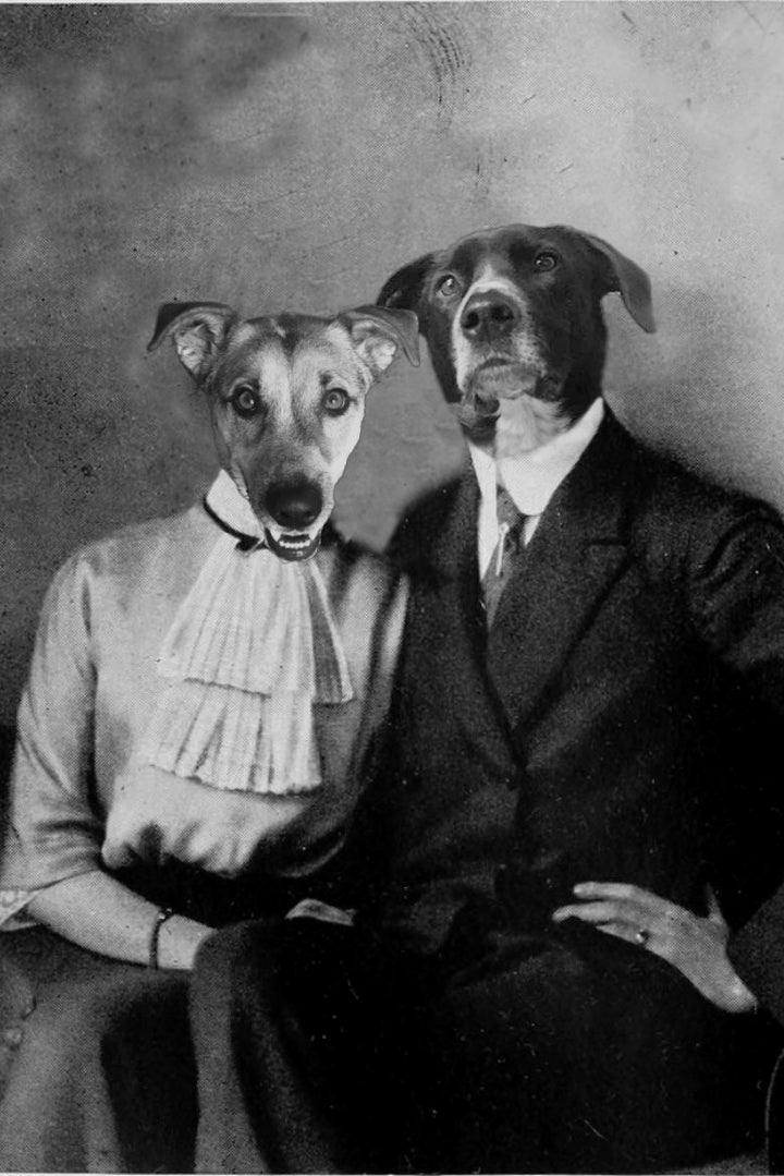 "Classy Match" Pair Pet Portrait