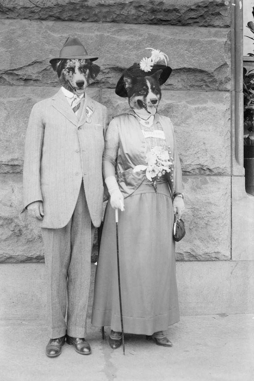 "Out On The Town" Pair Pet Portrait