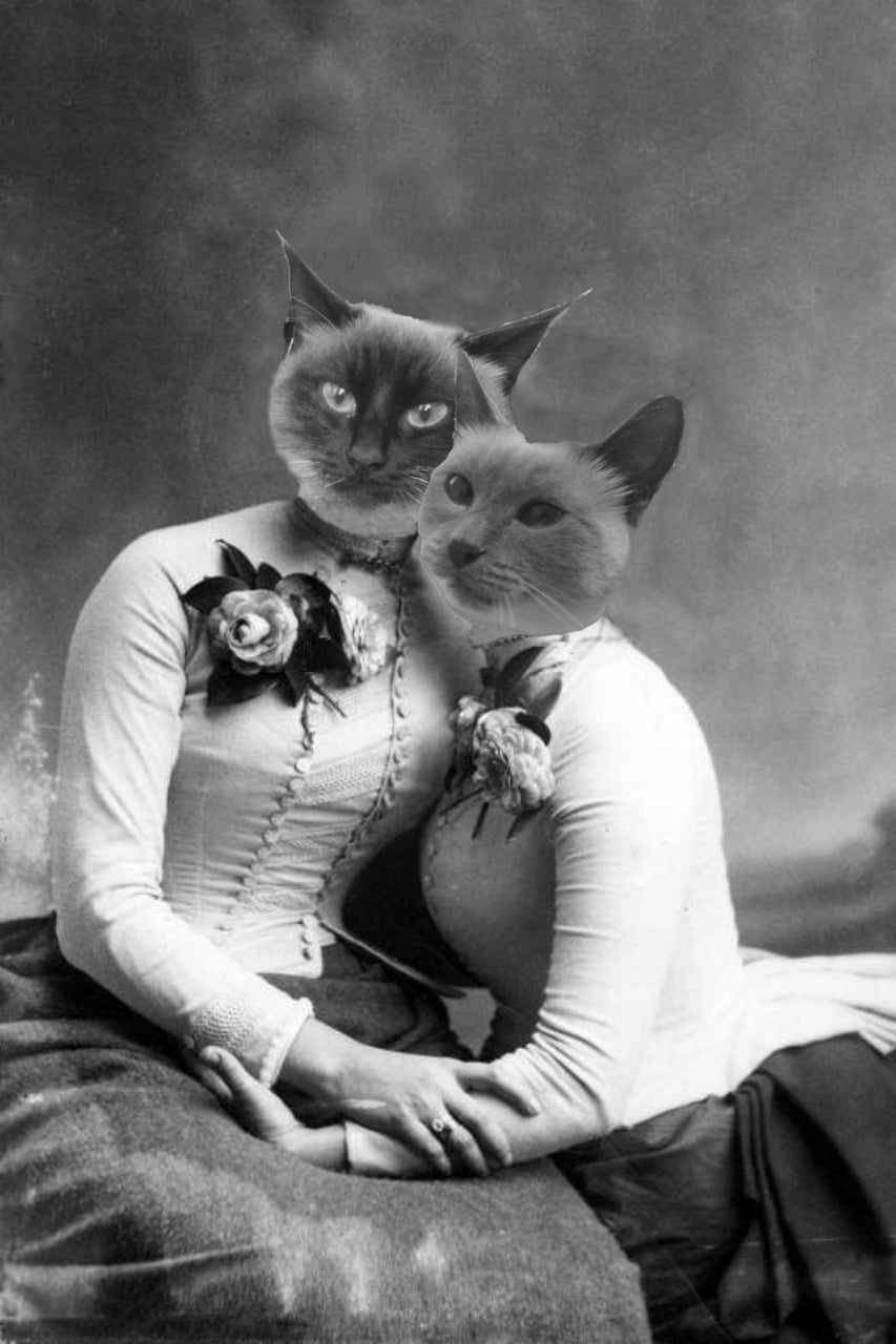 "Besties" Pair Pet Portrait