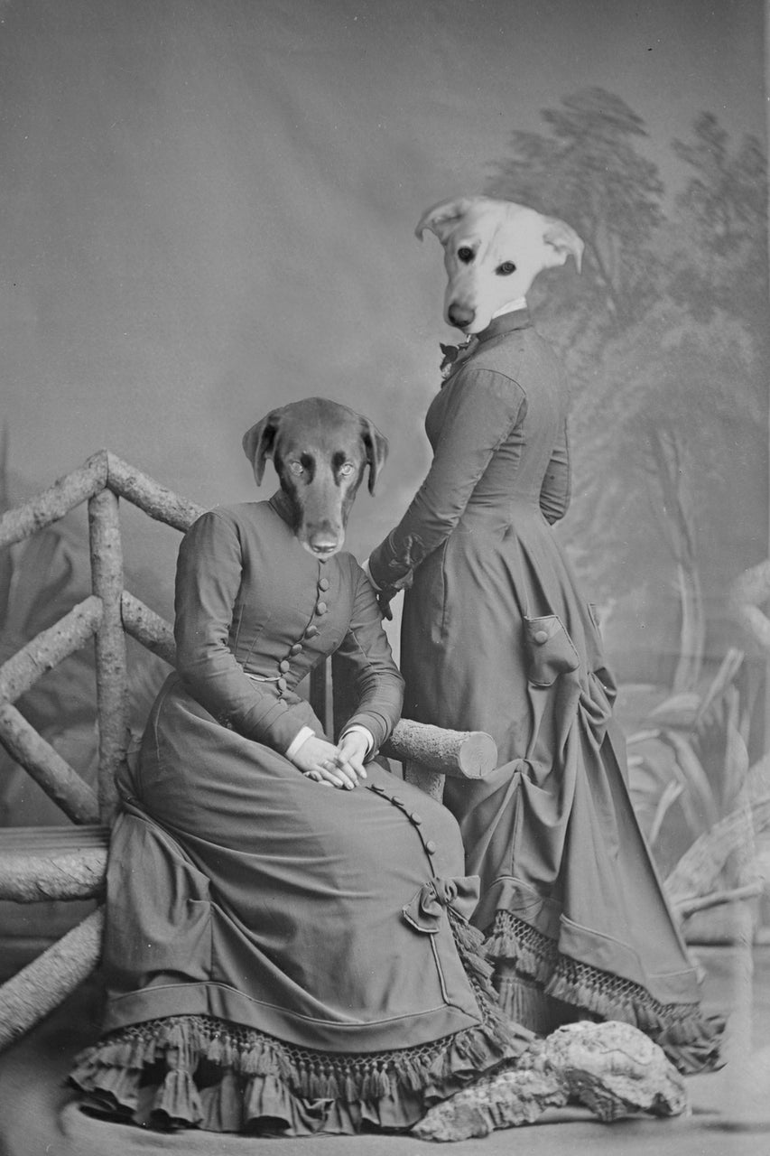 "Cut From The Same Cloth" Pair Pet Portrait