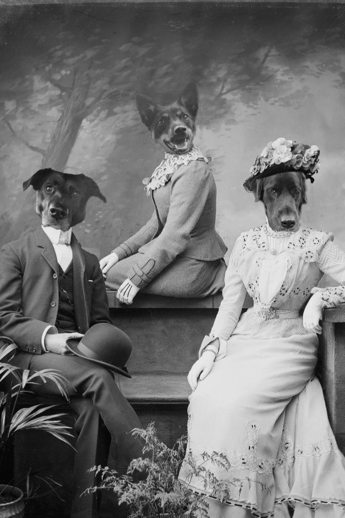 "Formal Attire" Group Pet Portrait