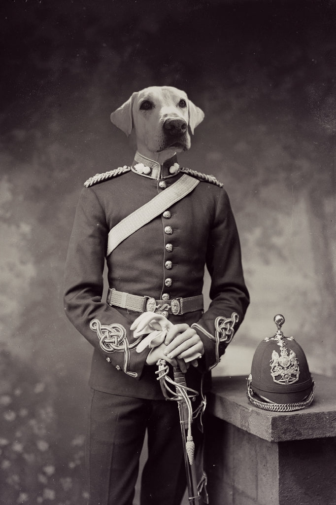 "Medal Of Honor" Pet Portrait