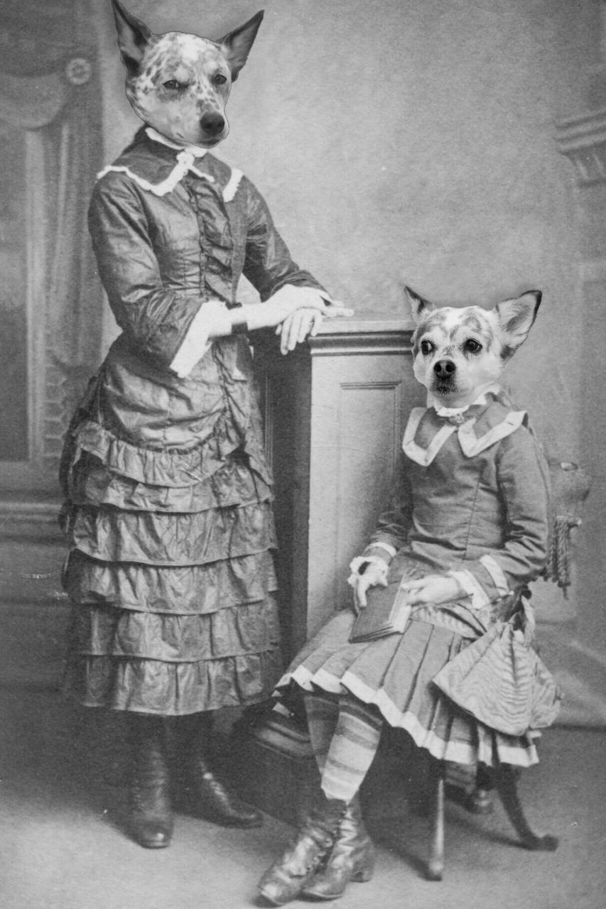 "Mother And Daughter" Pair Pet Portrait