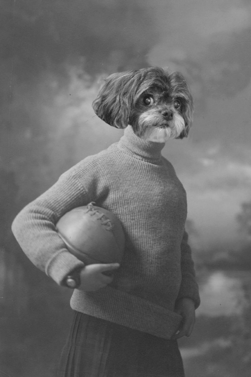 "Play Ball" Pet Portrait