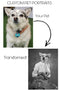 Custom Pet Portrait