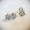 Crystal Sparkle Earrings