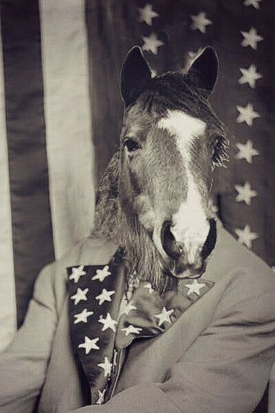 "Mr. America" Pet Portrait