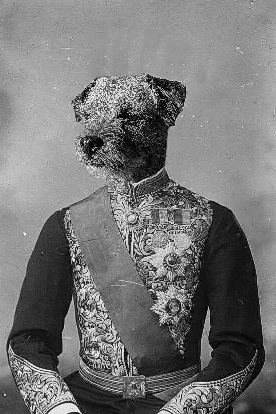 "The Emperor" Pet Portrait