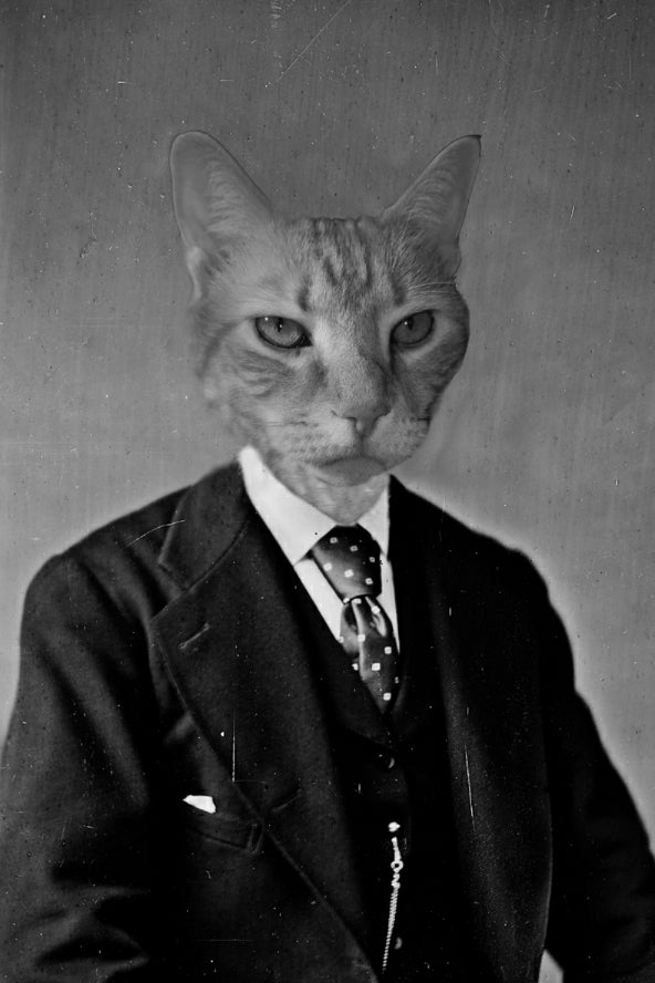 "Office Job" Pet Portrait