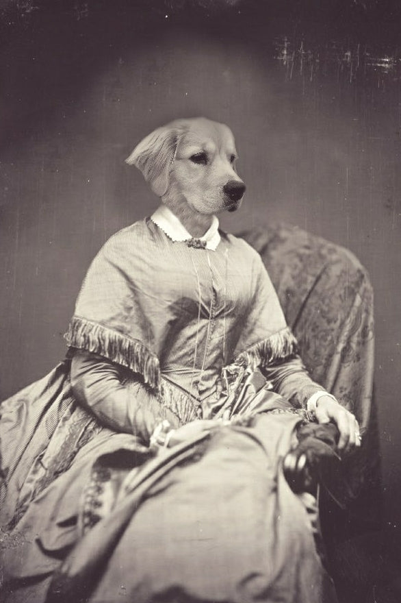 "Quintessential Lady" Pet Portrait
