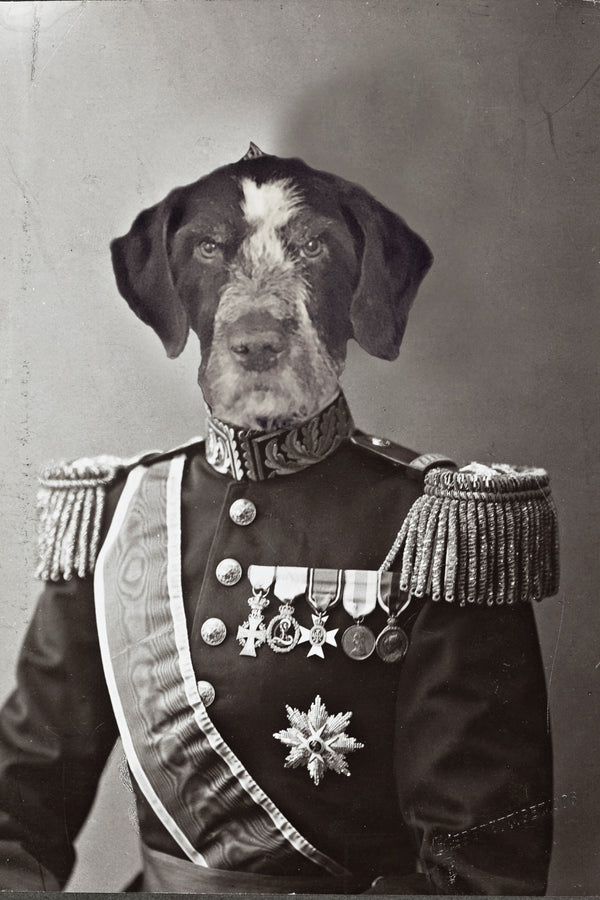 "The General" Pet Portrait