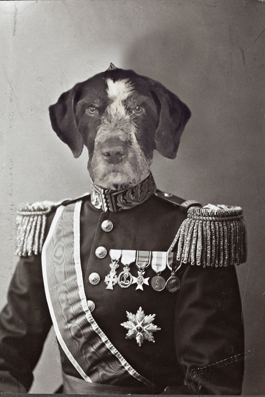 "The General" Pet Portrait