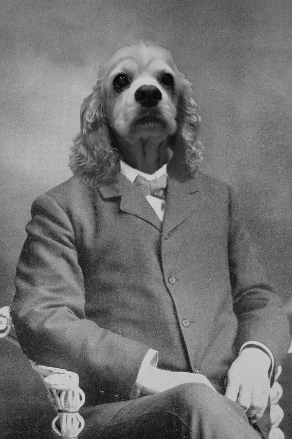 "The Professor" Pet Portrait