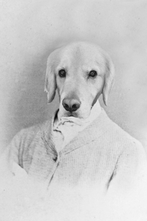 "The Lighter Side of Things" Pet Portrait