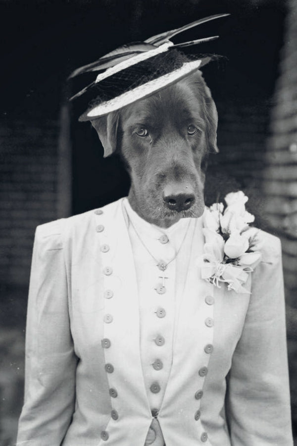 "Out On The Town" Pet Portrait