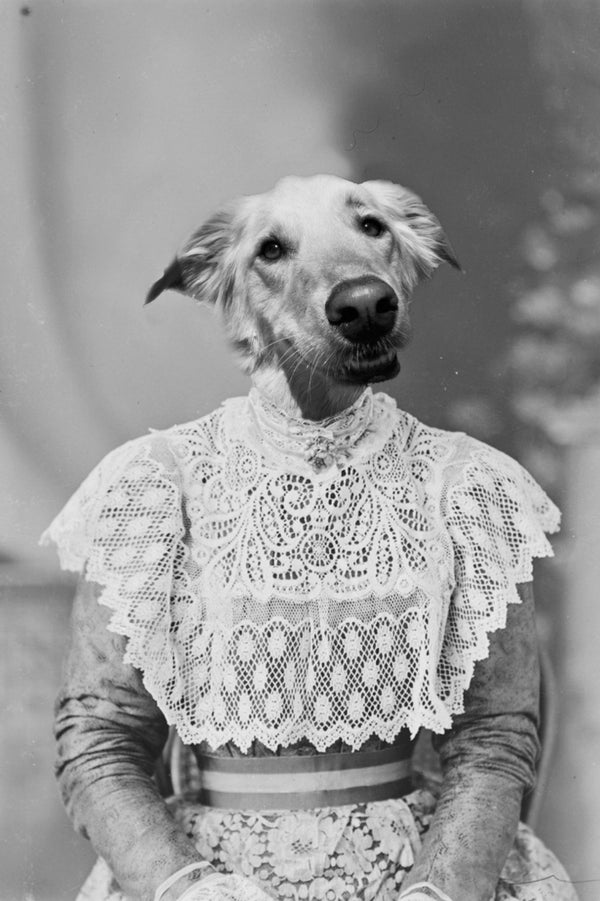 "Proper Attire" Pet Portrait