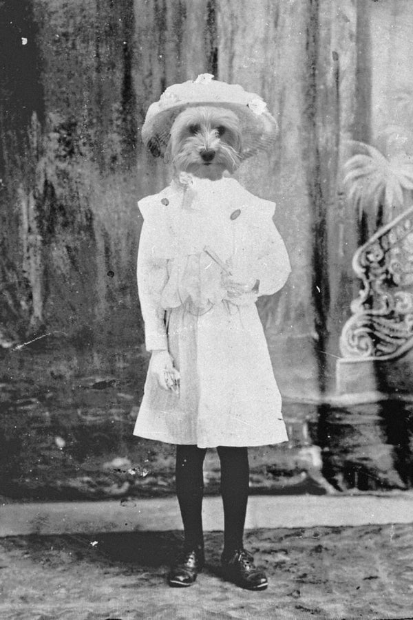 "Sunday Best" Pet Portrait