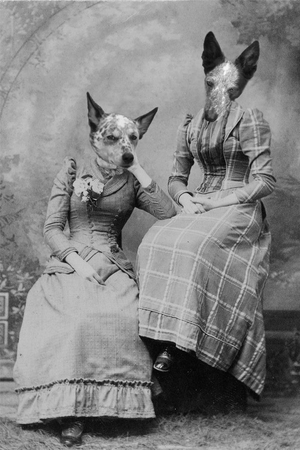 "Plaid Sisters" Pair Pet Portrait