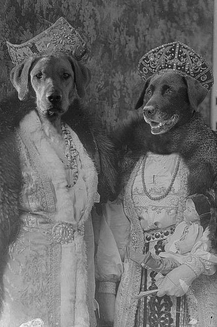 "Royalty" Pair Pet Portrait