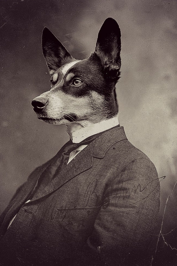 "Got The Promotion" Pet Portrait