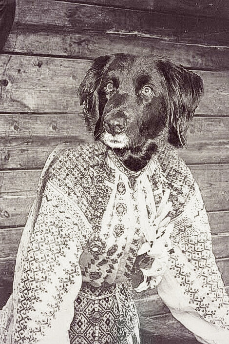 "Out On The Terrace" Pet Portrait