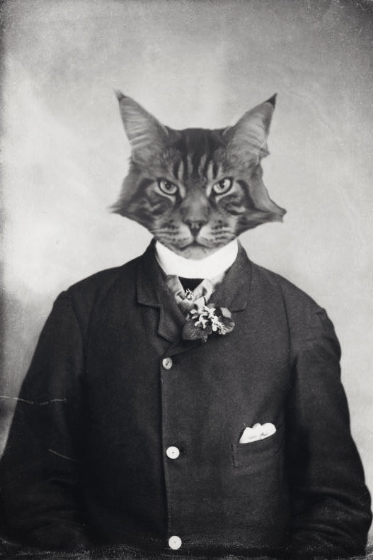 "A Prominent Man" Pet Portrait