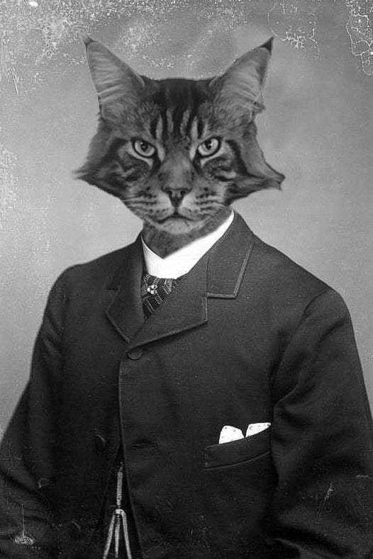 "Suited Up" Pet Portrait