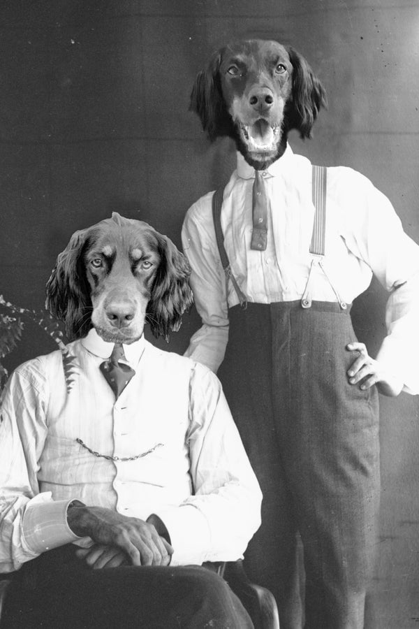 "Two Of A Kind" Pair Pet Portrait