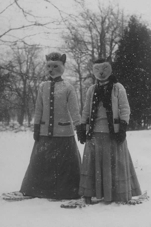 "A Fine Day For Snowshoes" Pair Pet Portrait